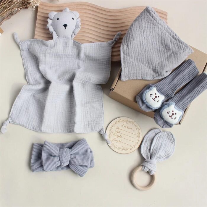 box Lionceau Gris